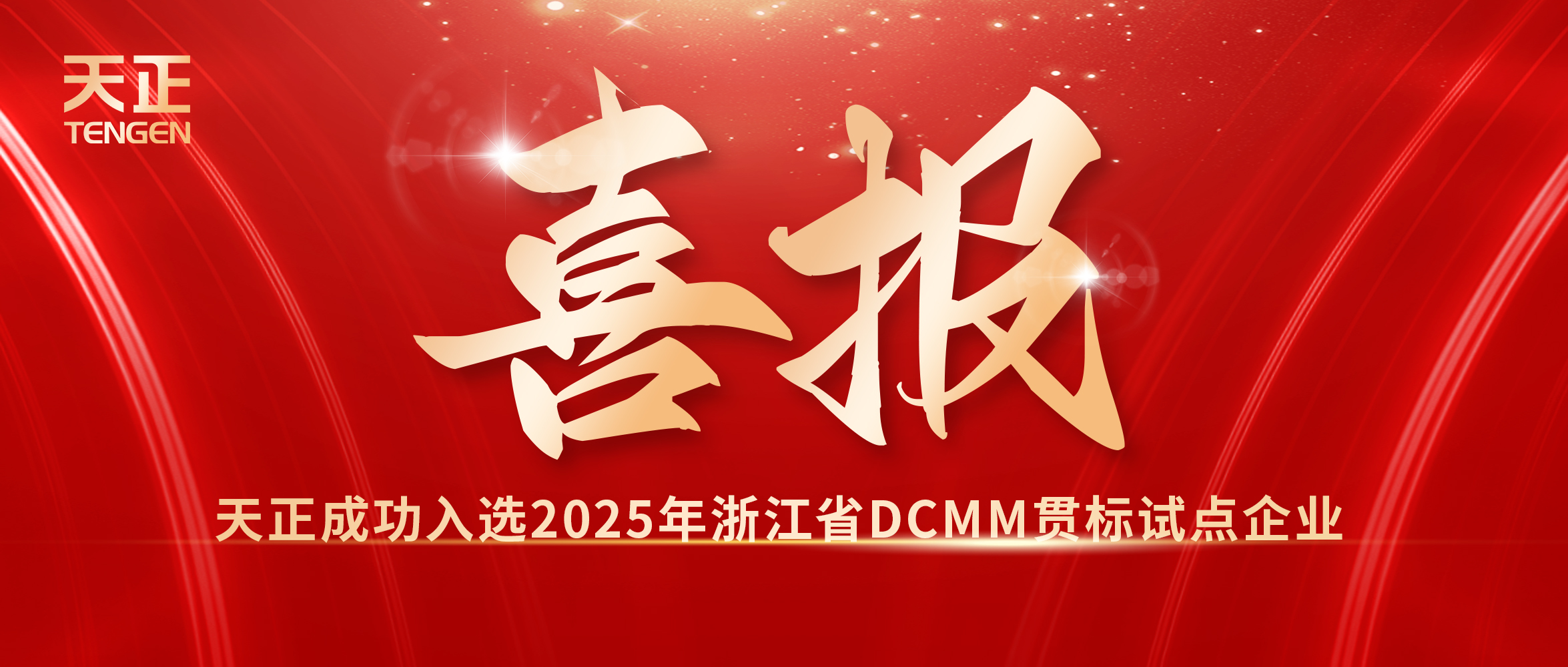 喜報(bào)！天正入選浙江省DCMM貫標(biāo)試點(diǎn)企業(yè)